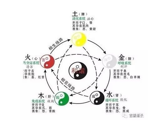 五行缺什麼補什麼|【五行缺甚麼】缺什麼補什麼？五行缺什麼一查便知！